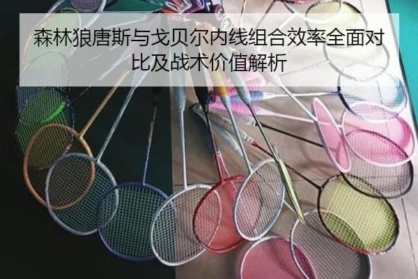 森林狼唐斯与戈贝尔内线组合效率全面对比及战术价值解析