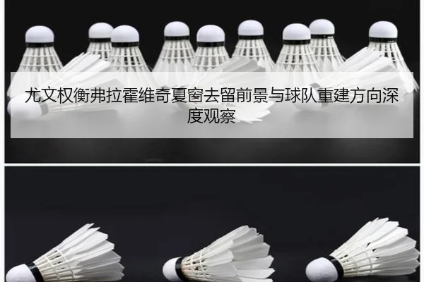 尤文权衡弗拉霍维奇夏窗去留前景与球队重建方向深度观察