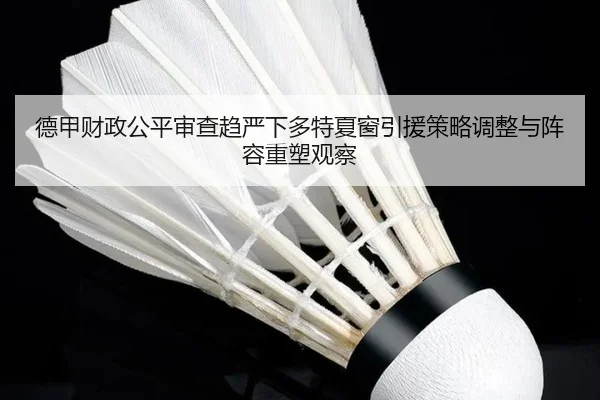 德甲财政公平审查趋严下多特夏窗引援策略调整与阵容重塑观察